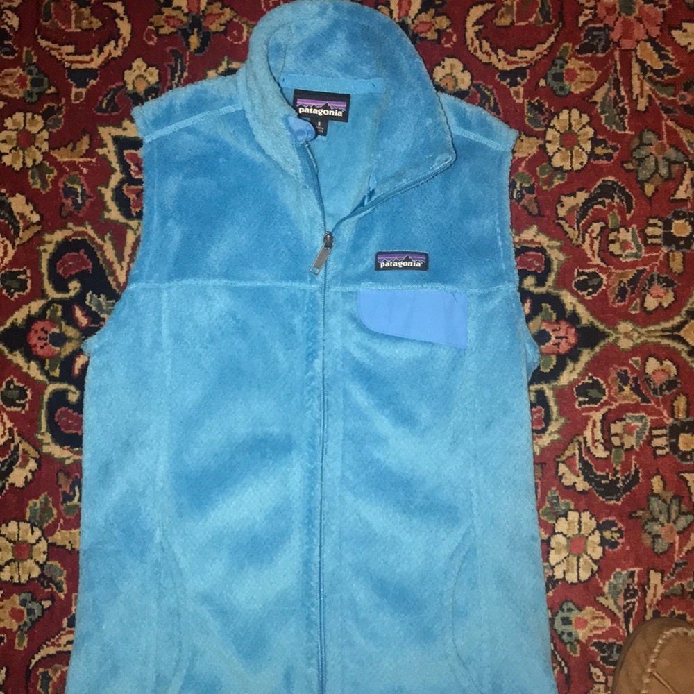 Patagonia re-tool snap Vest